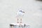 White seagull standing on the white piece of wood with water in background, Harlingen, Netherlands