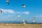 White seagulls fly against the background of blue sky and clouds on a sunny day. birds on the sand by the sea