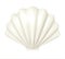 White seashell. 3d illustration