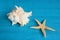 White seashell and starfish