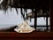 White Seashell on Tropical Deck