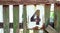 White Shabby And Rusty Metal Plate With Black Number Four, Nailed On Green Fence