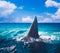 White shark fin above water