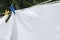 White Sheets Drying on a Clothes Line