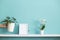 White shelf against pastel turquoise wall with potted orchid and hand putting