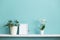 White shelf against pastel turquoise wall with potted orchid and schefflera