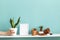 White shelf against pastel turquoise wall with pottery and succulent plant. Hand putting down potted snake plant