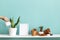 White shelf against pastel turquoise wall with pottery and succulent plant. Hand watering potted snake plant