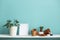 White shelf against pastel turquoise wall with pottery and succulent plant with potted schefflera plant