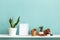 White shelf against pastel turquoise wall with pottery and succulent plant with potted snake plant