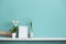 White shelf against pastel turquoise wall with spider plant cuttings in water