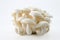 White Shimeji mushrooms