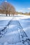 White sidewalk cuts through the meadow and trees covered in freshly fallen snow