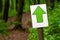 White sign or label with green arrow on stick on path in green spring or summer forest. Notification or direction of movement,