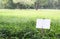 White signboard on grass field