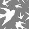 White silhouettes of swallows and pigeons in flight on gray