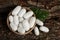 White silk cocoons with wooden bowl and mulberry leaf on tree bark, top view