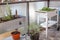 A white and silver galvanized elevated garden planter sits on an apartment patio in the spring.