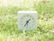 White simple clock on lawn yard, 1:35 one thirty five