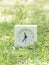 White simple clock on lawn yard, 11:35 eleven thirty five