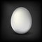 White single realistic animal egg isolated with soft shadow on black background