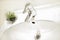White sink with blurred silver tap focusing green plants