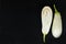 White slice eggplant on black stone surface.