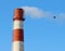 White smoke from an industrial plant chimney against a blue sky and a bird flying in a smoke trail