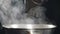 White smoke in slow motion rising above hot frying pan on black background. Cooking in restaurant. Delicious dish being