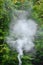 White smoke spreads over the background of forest trees
