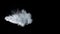 White smoke wave on an isolated black studio background