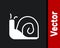 White Snail icon isolated on black background. Vector