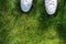 White Sneakers on a Green Grass Top View