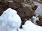 White snow on the background of mud and black melting snow on the road in winter or spring