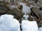 White snow on the background of mud and black melting snow on the road in winter or spring