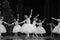 The white snow fairy-The Ballet Nutcracker