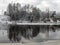 White snow formations on tree branches, river bank, beautiful