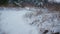 White snow lying grass in winter forest close up. Beautiful snowbound landscape.