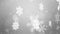 White Snow Snowfall Snowflake Particles Seamlessly Loop Animation Background