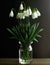 White snowdrop flowers in a vase. First spring flowers