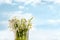 White snowdrops on a background of bright blue sky. Spring, morning