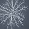 White snowflake abstract, neuron like on dark gray background