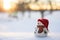 White snowman figure with warm hat and scarf standing in snow