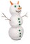 White snowman whith green buttons and carrot. (Clipping path)