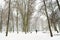 White snowy city park scene in winter. Beautiful winter scenery in Vilnius.