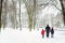 White snowy city park scene in winter. Beautiful winter scenery in Vilnius.