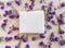 White soap bar on a wooden background with violet flovers top view. Pure natural soap with cedar oil and herbal ingredients.