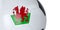 White soccer ball with flag of Wales on a white background. Isolated. Close up. 3D illustration