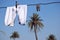 White socks hung on wire, blue sky And palm tree in the background