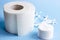 White soft cotton pads and sticks for hygiene and healthcare and toilet paper roll on light blue background.